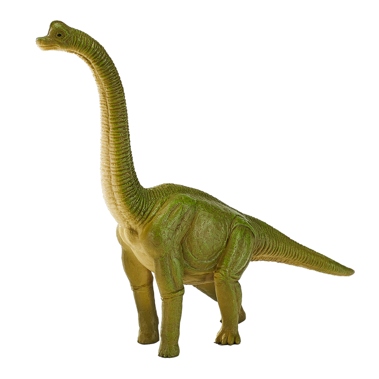 Brachiosaurus