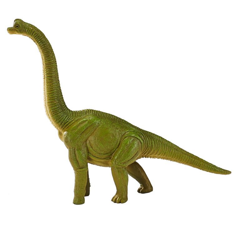 Brachiosaurus