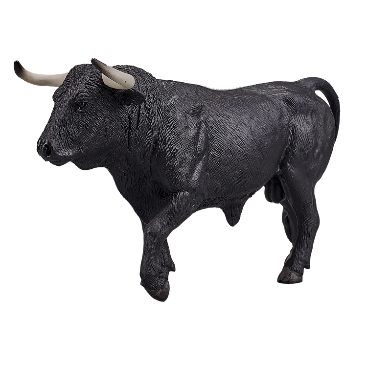 Spanish Bull