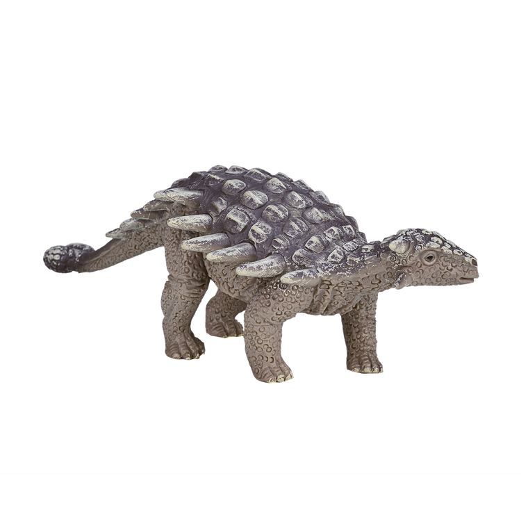 Ankylosaurus