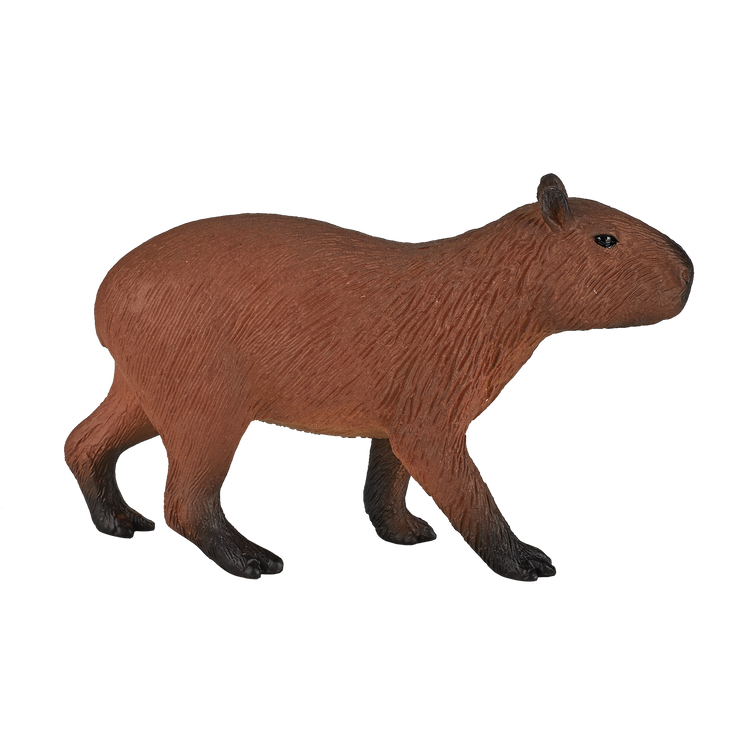 Capybara