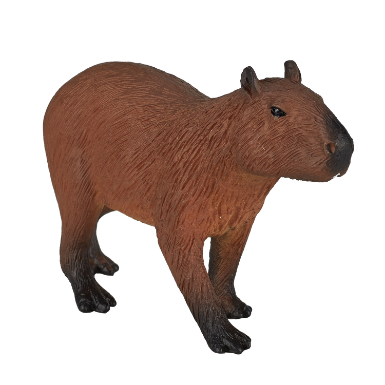 Capybara