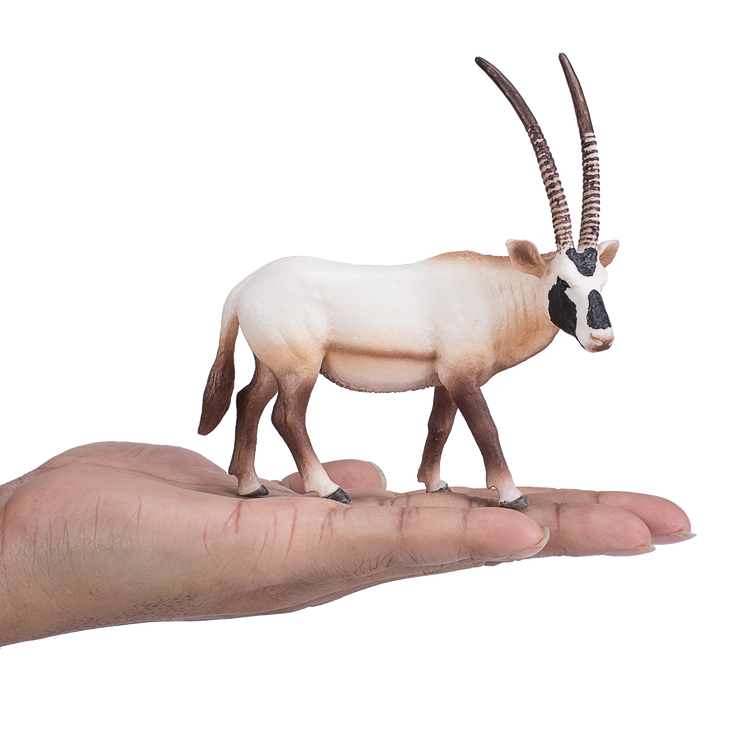 Arabian Oryx