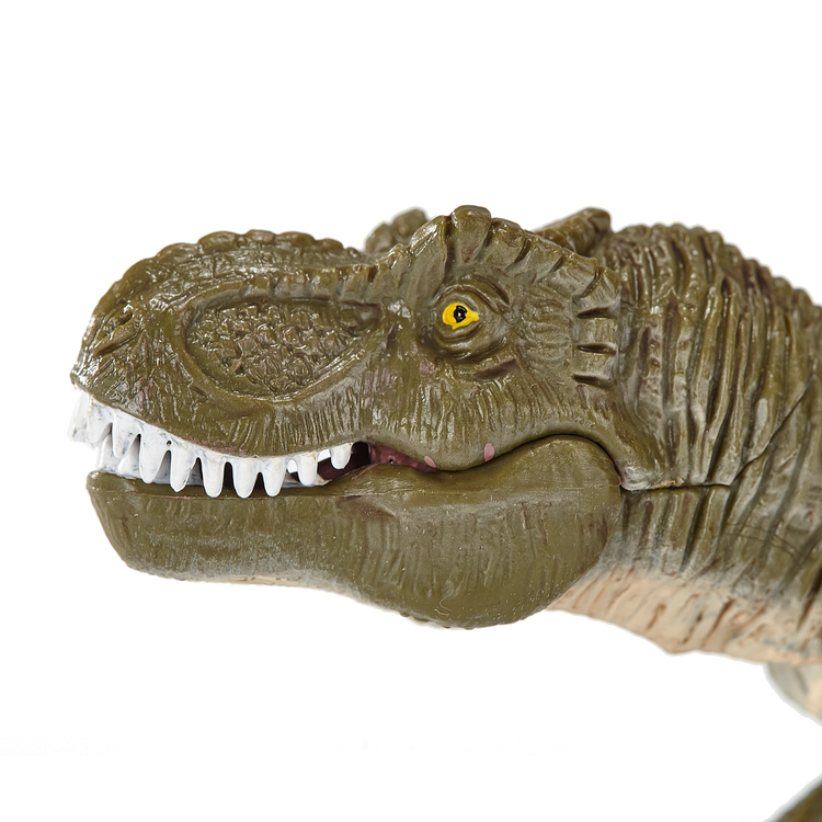 Tyrannosaurus Rex