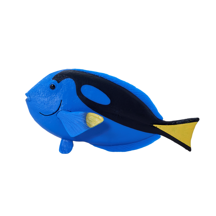 Blue Tang Fish