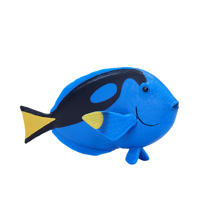 Blue Tang Fish