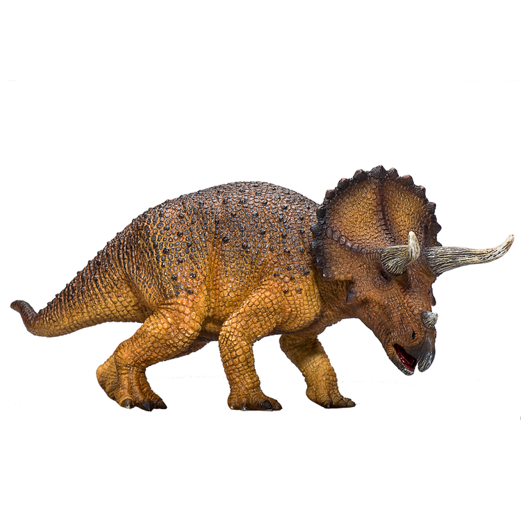 Triceratops