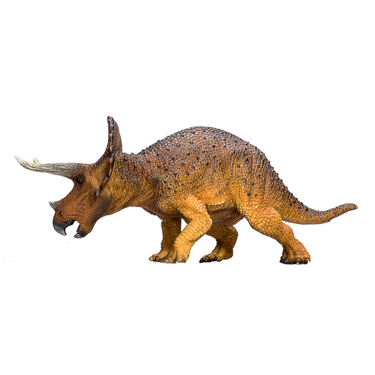 Triceratops