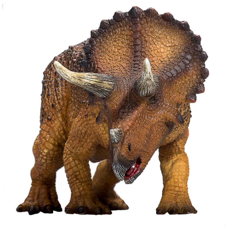 Triceratops