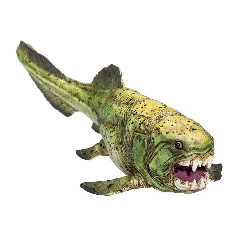 Dunkleosteus