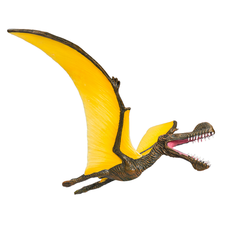 Tropeognathus