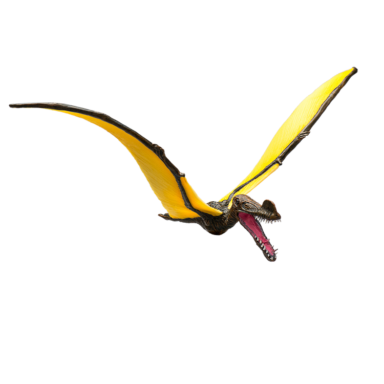 Tropeognathus