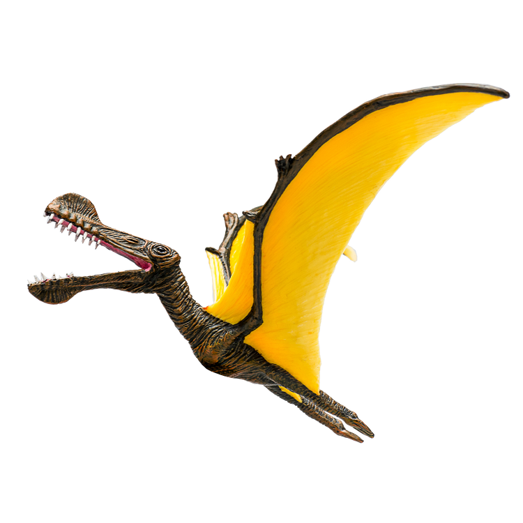 Tropeognathus