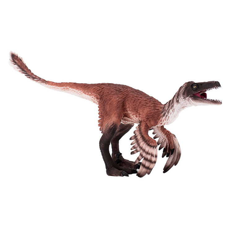 Troodon with Articulated Jaw