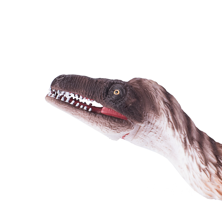 Troodon with Articulated Jaw