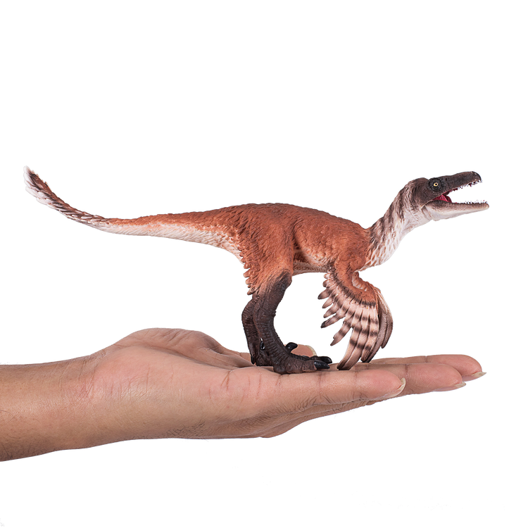 Troodon with Articulated Jaw