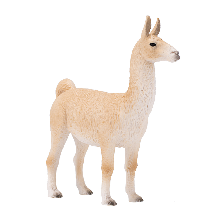 Llama