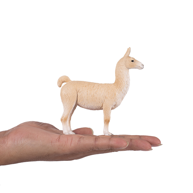 Llama