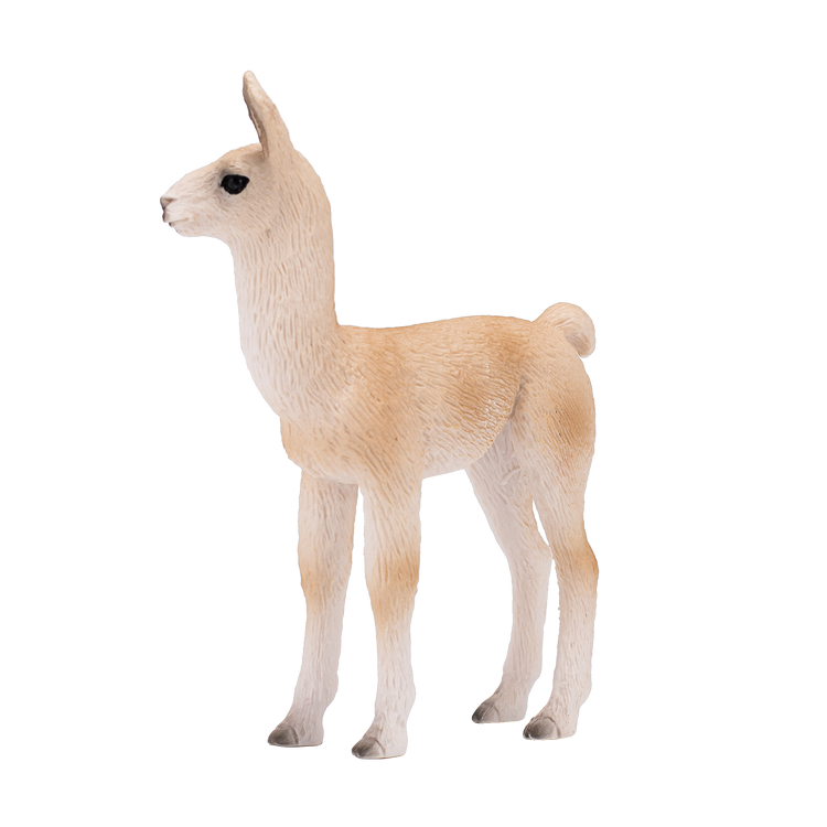 Llama Baby