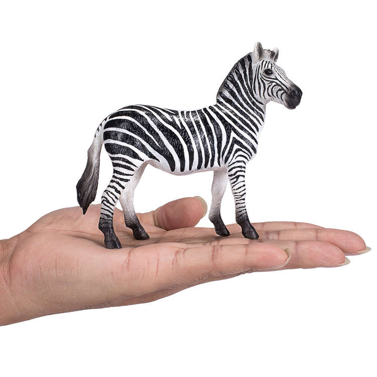 Zebra Mare