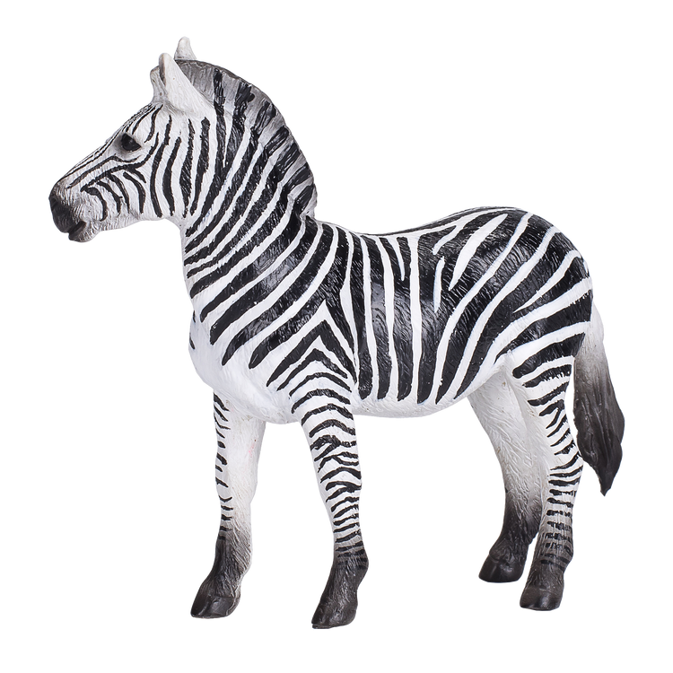 Zebra Mare