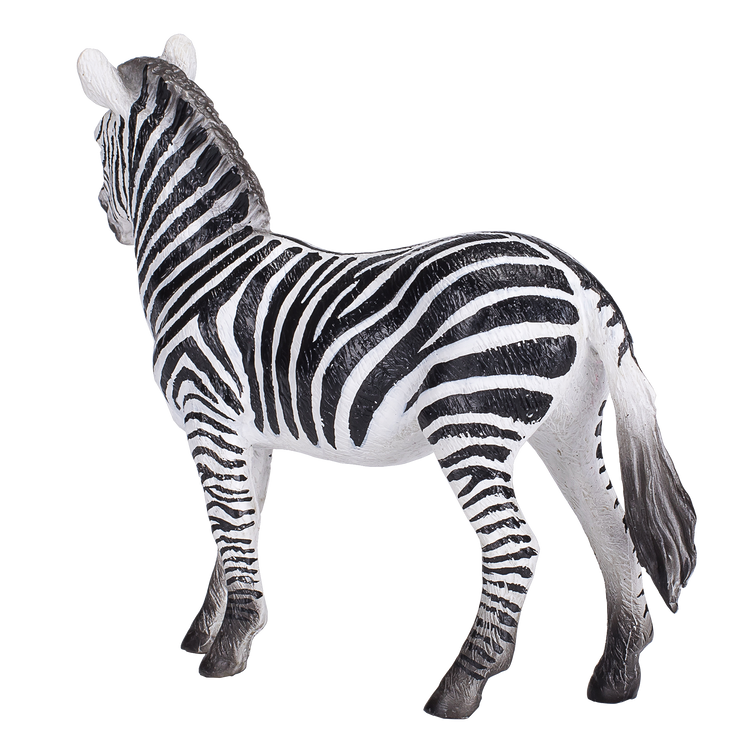 Zebra Mare