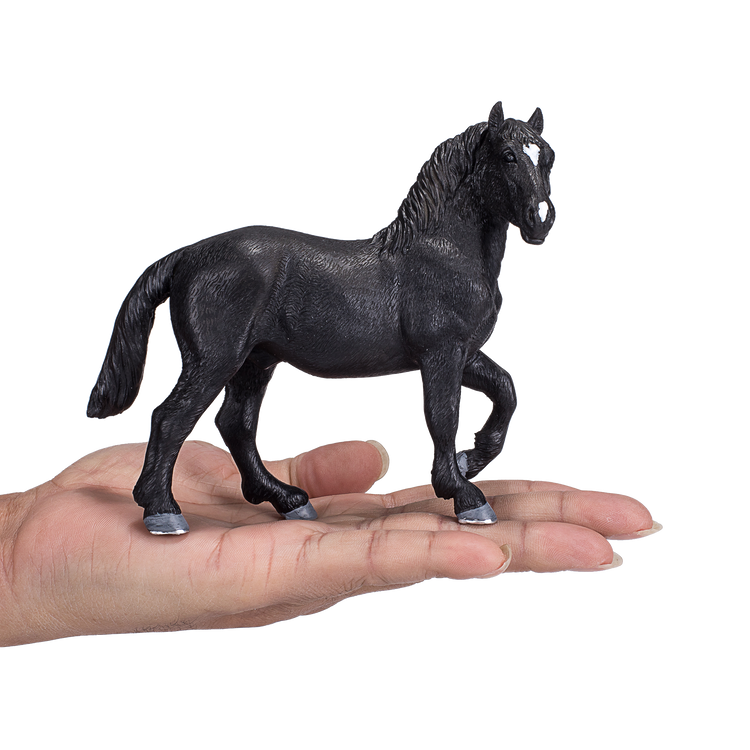 Percheron