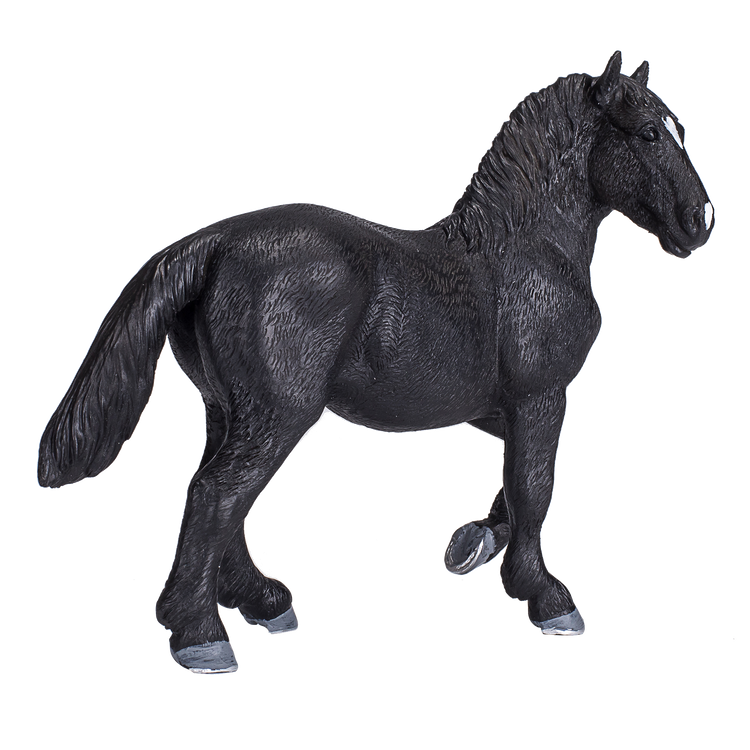 Percheron