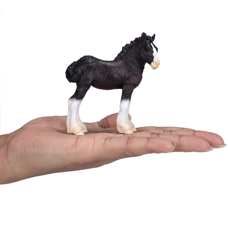 Shire Foal