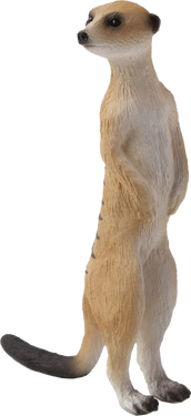 Model meerkat