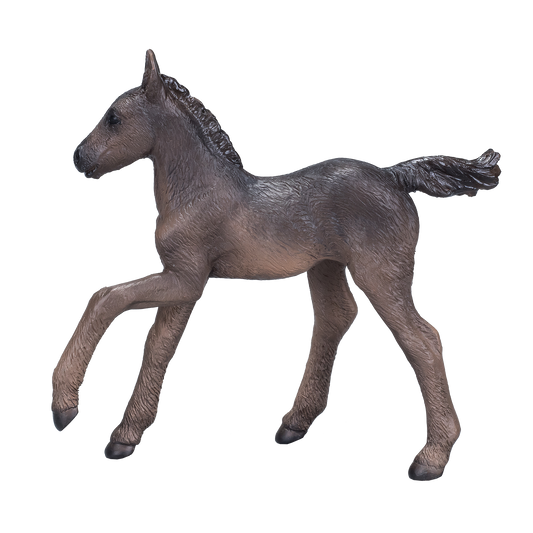 Arabian Foal Black