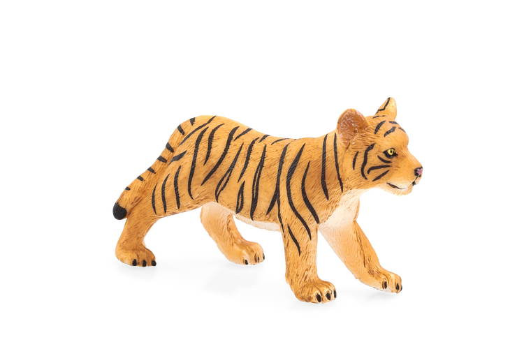 Tiger Cub standing