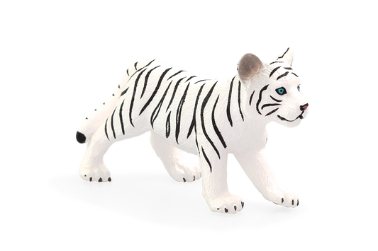 White Tiger cub standing