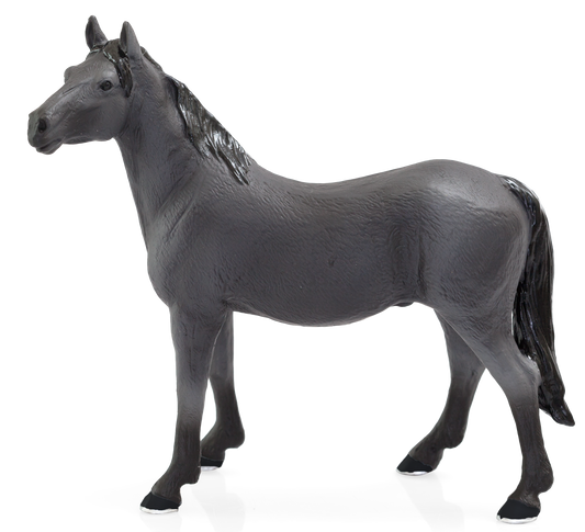 Orlov Trotter