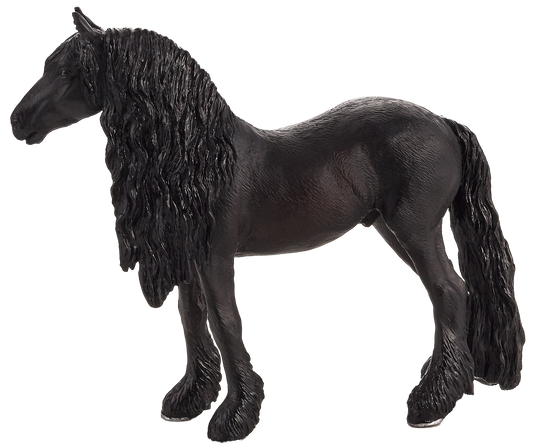 Friesian Gelding