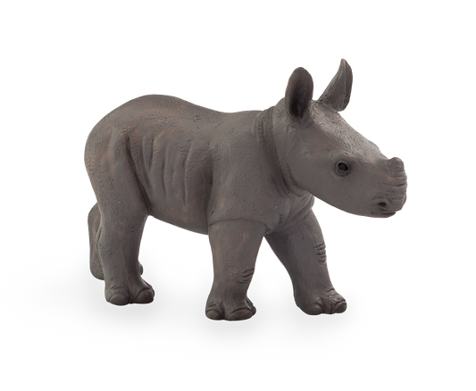 Rhino Baby Standing