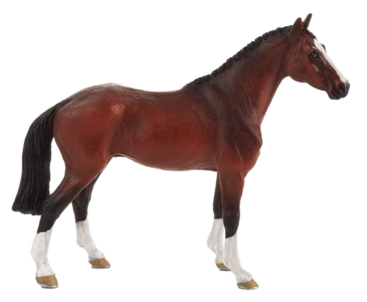 Dutch Warmblood