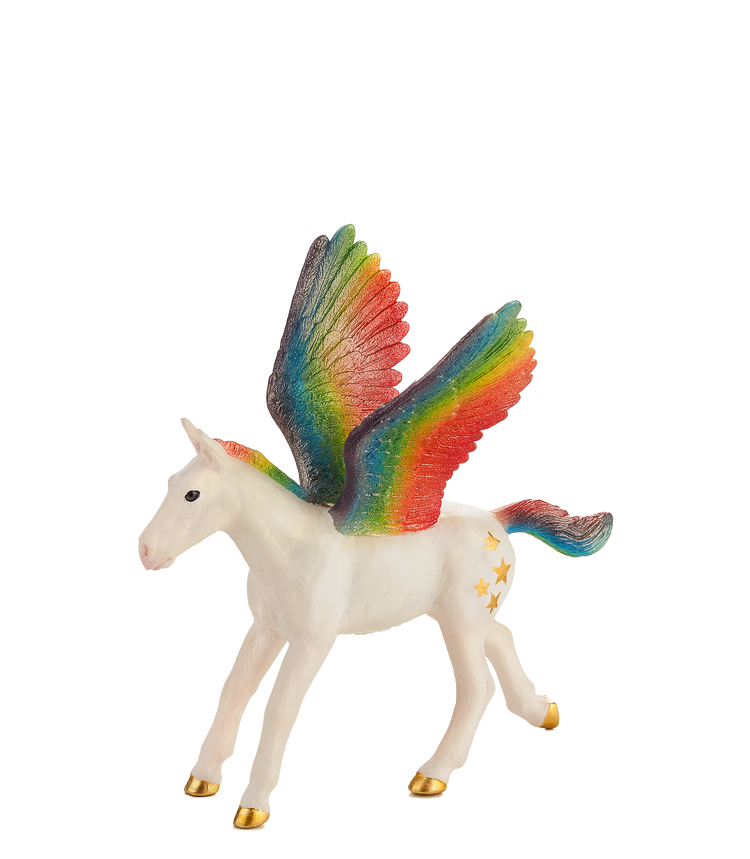 Rainbow Pegasus Baby
