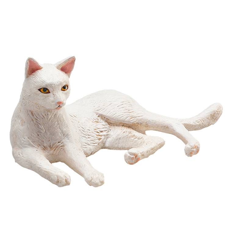Cat Lying White