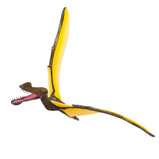 Tropeognathus
