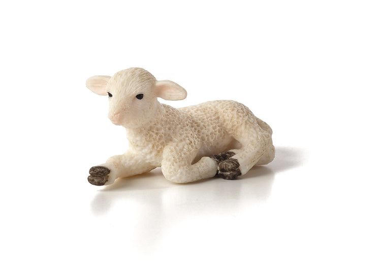 Lamb Laying down