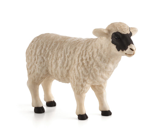 Black faced Sheep (Ewe)