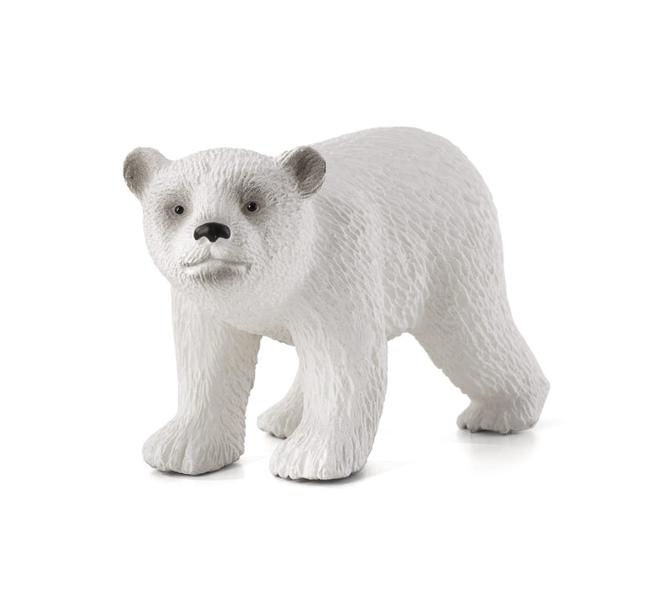 Polar Bear Cub Walking
